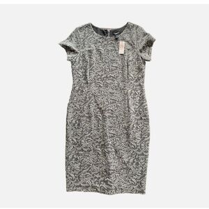 Ann Taylor Grey short sleeve sheath dress - Stretch - Large Petite LP $129